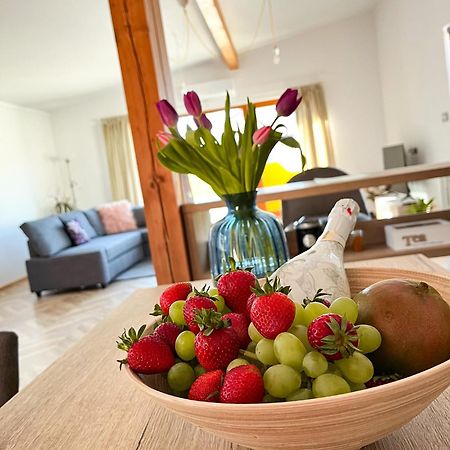 Apartman Niklan Rožnov pod Radhoštěm エクステリア 写真