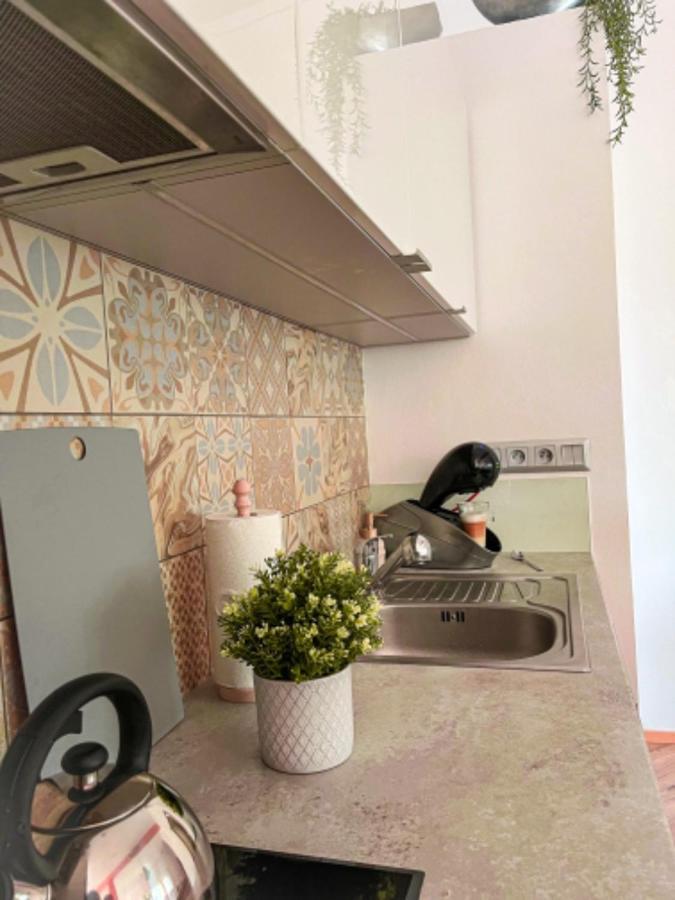 Apartman Niklan Rožnov pod Radhoštěm エクステリア 写真