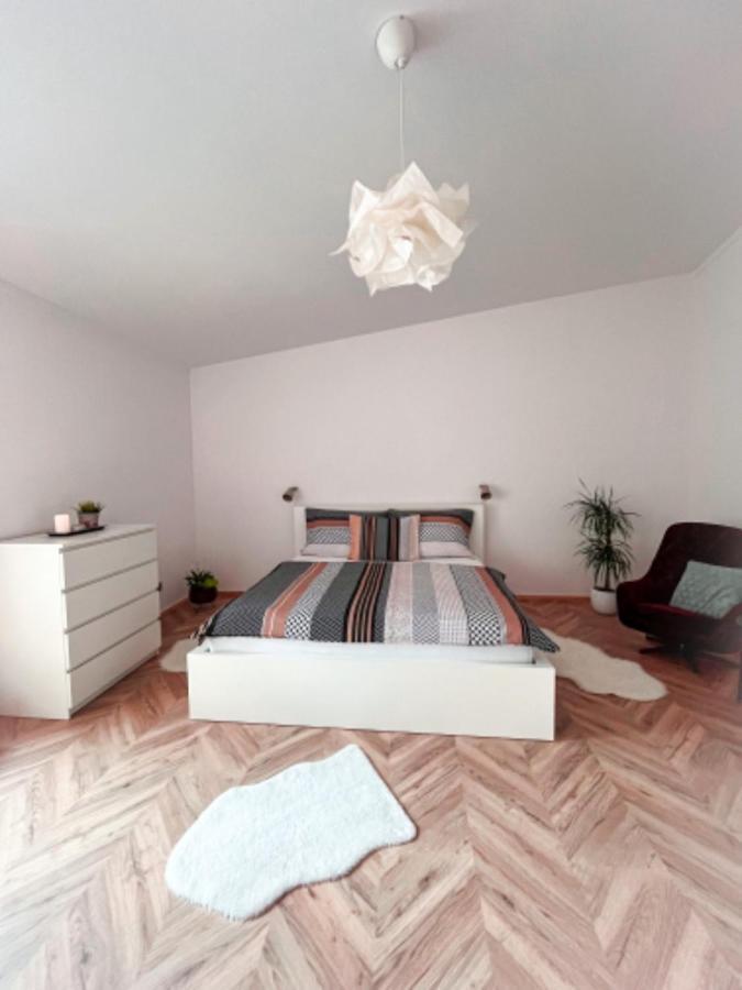 Apartman Niklan Rožnov pod Radhoštěm エクステリア 写真