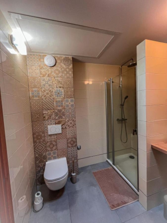 Apartman Niklan Rožnov pod Radhoštěm エクステリア 写真