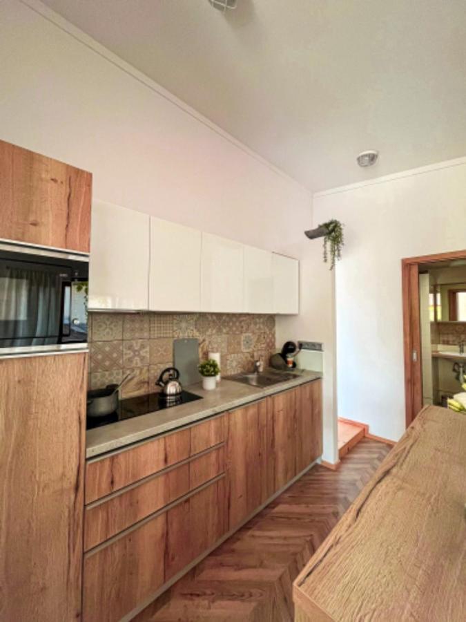 Apartman Niklan Rožnov pod Radhoštěm エクステリア 写真